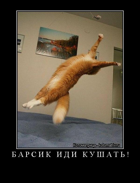 БАРСИК ИДИ КУШАТЬ! ... Котоматрица: БАРСИК ИДИ КУШАТЬ!