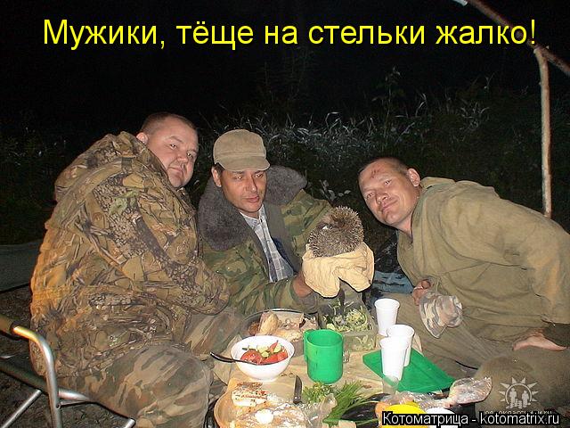 Мужики, тёще на стельки жалко!... Котоматрица: Мужики, тёще на стельки жалко!