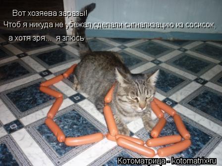 Вот хозяева заразы! Чтоб я никуда не убежал,сделали сигнализацию из сосисок, а хотя зря... я злюсь... Котоматрица: Вот хозяева заразы! Чтоб я никуда не убежал,сделали сигнализацию из сосисок, а хотя зря... я злюсь