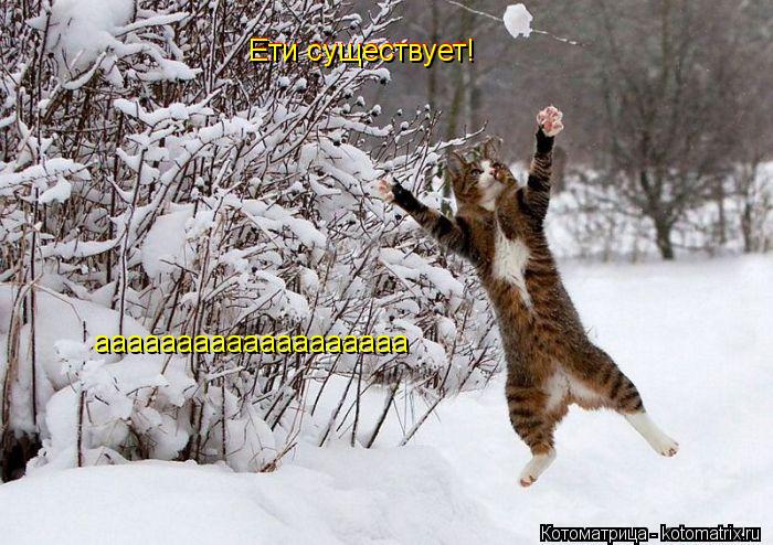 Ети существует! Ети существует! ааааааааааааааааааа... Котоматрица: Ети существует! Ети существует! ааааааааааааааааааа