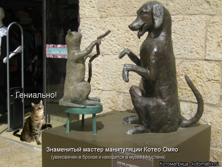Знаменитый мастер манипуляции Котео Омяо (увековечен в бронзе и находится в музее Мяустана) - Гениал... Котоматрица: Знаменитый мастер манипуляции Котео Омяо (увековечен в бронзе и находится в музее Мяустана) - Гениально!