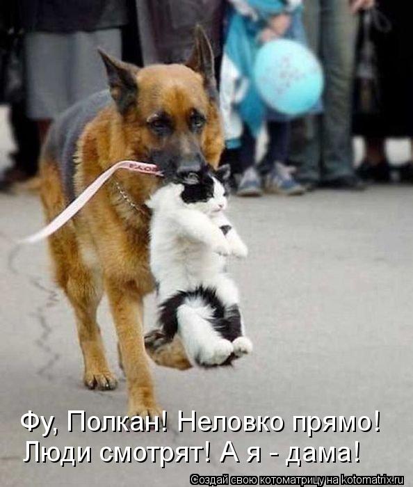 Фу, Полкан! Неловко прямо! Люди смотрят! А я - дама!... Котоматрица: Фу, Полкан! Неловко прямо! Люди смотрят! А я - дама!