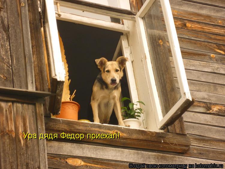 Ура дядя Федор приехал!... Котоматрица: Ура дядя Федор приехал!
