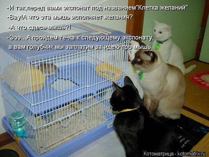 -И так,перед вами экспонат под названием"Клетка желаний" -Вау!А что эта мышь исполняет желания? -А чт... Котоматрица: -И так,перед вами экспонат под названием"Клетка желаний" -Вау!А что эта мышь исполняет желания? -А что сдесь мышь?! -Эээ...А пройдем те-ка к след