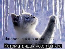 - Интересно а это алмазы???... Котоматрица: - Интересно а это алмазы???