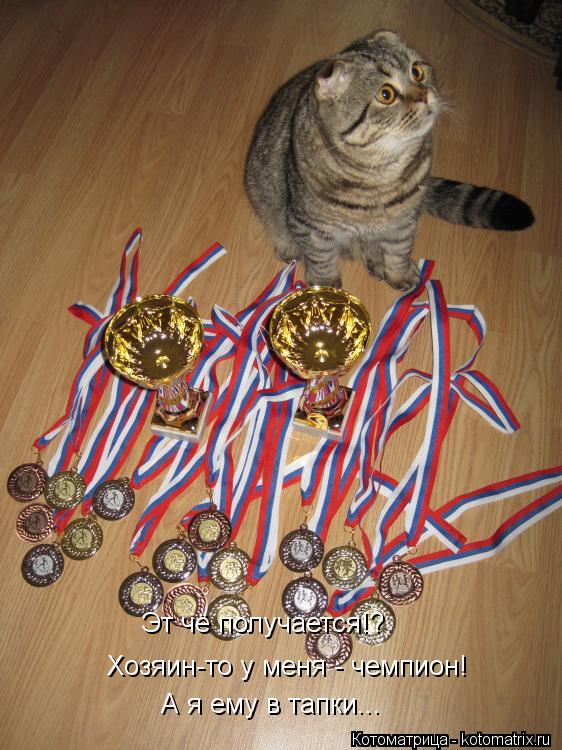 Эт чё получается!? Хозяин-то у меня - чемпион! А я ему в тапки...... Котоматрица: Эт чё получается!? Хозяин-то у меня - чемпион! А я ему в тапки...