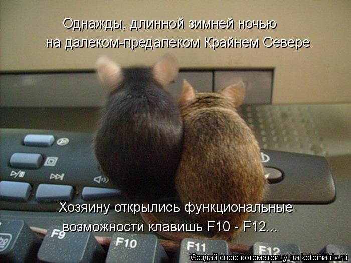 Однажды, длинной зимней ночью на далеком-предалеком Крайнем Севере Хозяину открылись функциональные в... Котоматрица: Однажды, длинной зимней ночью на далеком-предалеком Крайнем Севере Хозяину открылись функциональные возможности клавишь F10 - F12...
