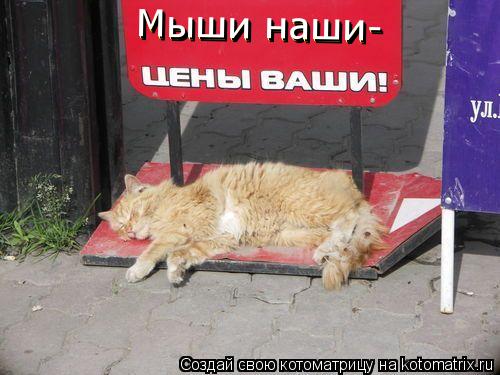 Мыши наши- Мыши наши-... Котоматрица: Мыши наши- Мыши наши-