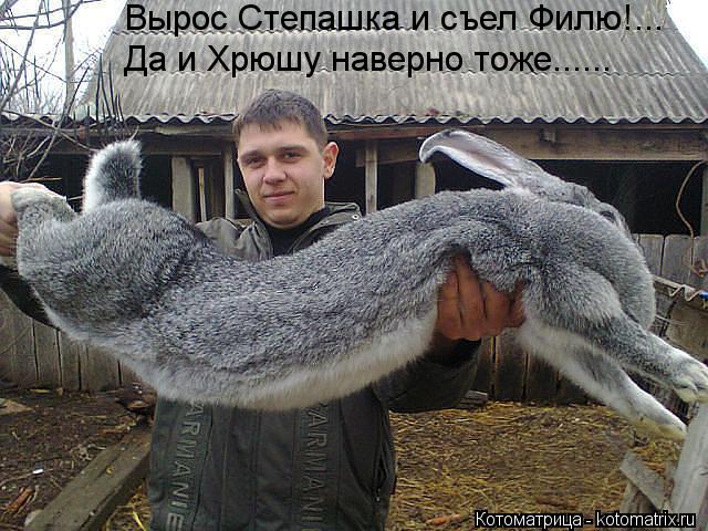 Вырос Степашка и съел Филю!... Да и Хрюшу наверно тоже......... Котоматрица: Вырос Степашка и съел Филю!... Да и Хрюшу наверно тоже......