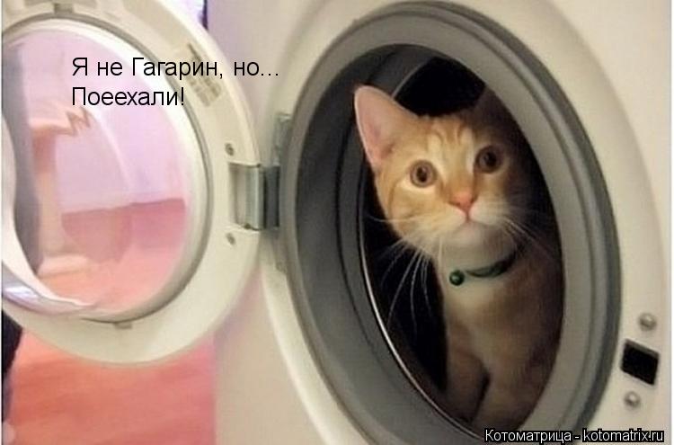 Я не Гагарин, но... Поеехали!... Котоматрица: Я не Гагарин, но... Поеехали!