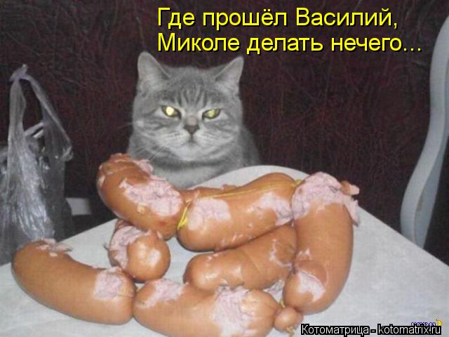 Где прошёл Василий, Миколе делать нечего...... Котоматрица: Где прошёл Василий, Миколе делать нечего...