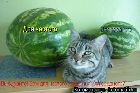 Для частого Выбирайте! Вам для частого хождения или среднего?! Для среднего... Котоматрица: Для частого Выбирайте! Вам для частого хождения или среднего?! Для среднего