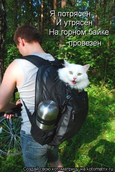 Я потрясен И утрясен На горном байке провезен... Котоматрица: Я потрясен И утрясен На горном байке провезен
