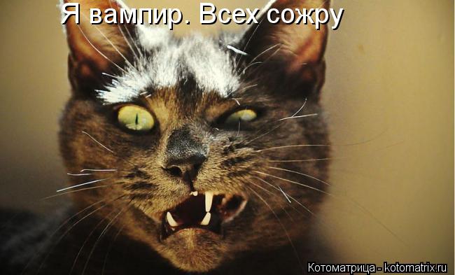 Я вампир. Всех сожру... Котоматрица: Я вампир. Всех сожру