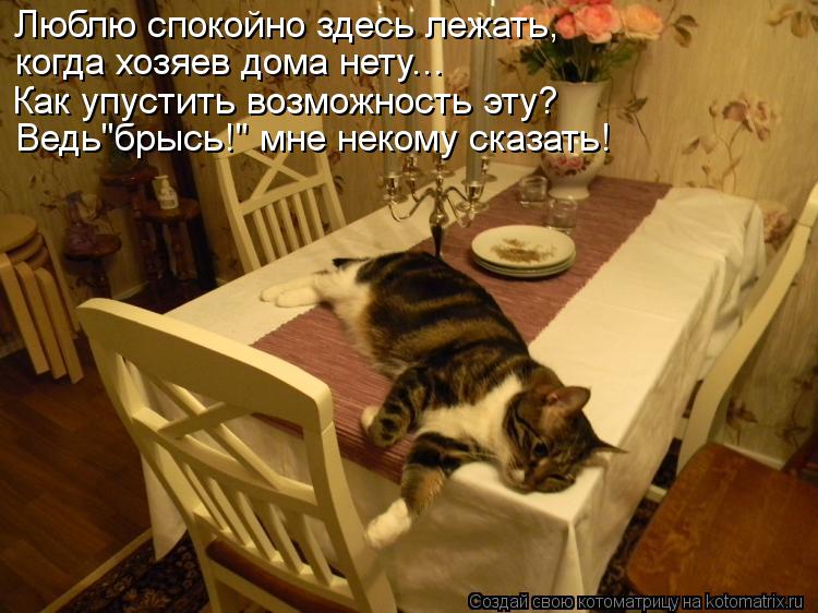 Ведь"брысь!" мне некому сказать! Люблю спокойно здесь лежать, когда хозяев дома нету... Как упустить ... Котоматрица: Ведь"брысь!" мне некому сказать! Люблю спокойно здесь лежать, когда хозяев дома нету... Как упустить возможность эту?