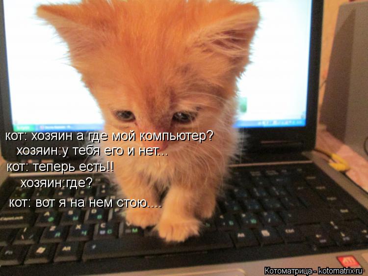 кот: хозяин а где мой компьютер? хозяин:у тебя его и нет... кот: теперь есть!! хозяин:где? кот: вот я... Котоматрица: кот: хозяин а где мой компьютер? хозяин:у тебя его и нет... кот: теперь есть!! хозяин:где? кот: вот я на нем стою....