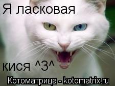 Я ласковая кися ^3^... Котоматрица: Я ласковая кися ^3^