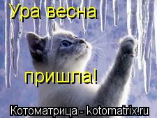Ура весна пришла!... Котоматрица: Ура весна пришла!