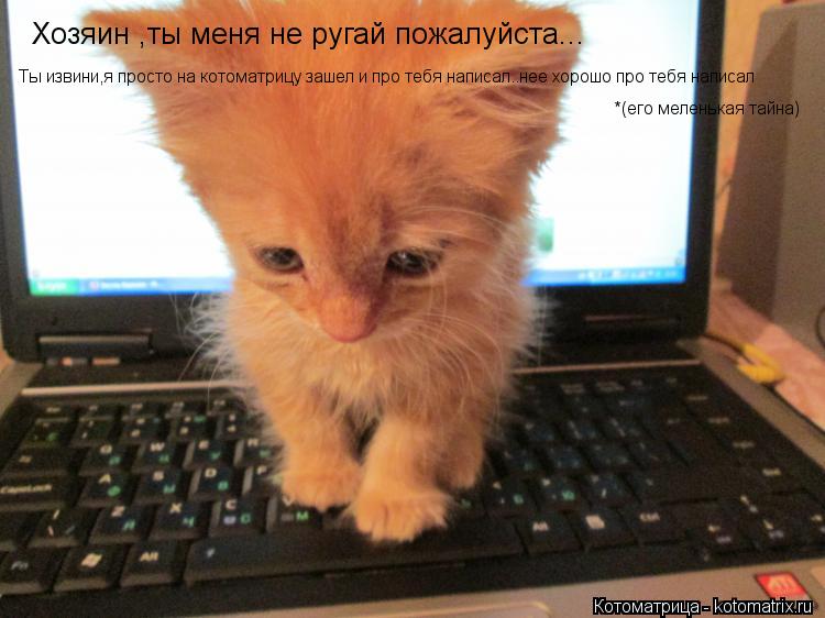 Хозяин ,ты меня не ругай пожалуйста... Ты извини,я просто на котоматрицу зашел и про тебя написал..не... Котоматрица: Хозяин ,ты меня не ругай пожалуйста... Ты извини,я просто на котоматрицу зашел и про тебя написал..нее хорошо про тебя написал *(его меленькая