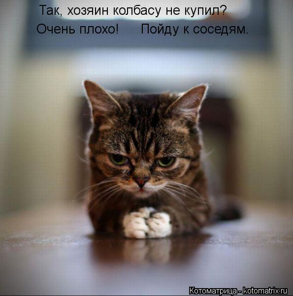 Так, хозяин колбасу не купил? Очень плохо! Пойду к соседям.... Котоматрица: Так, хозяин колбасу не купил? Очень плохо! Пойду к соседям.