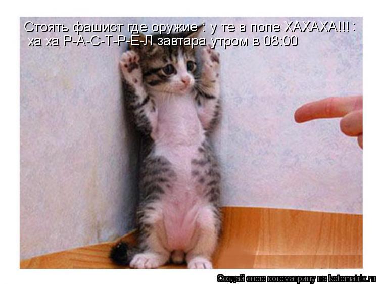 Стоять фашист где оружие : у те в попе ХАХАХА!!! ха ха Р-А-С-Т-Р-Е-Л завтара утром в 08:00 :... Котоматрица: Стоять фашист где оружие : у те в попе ХАХАХА!!! ха ха Р-А-С-Т-Р-Е-Л завтара утром в 08:00 :