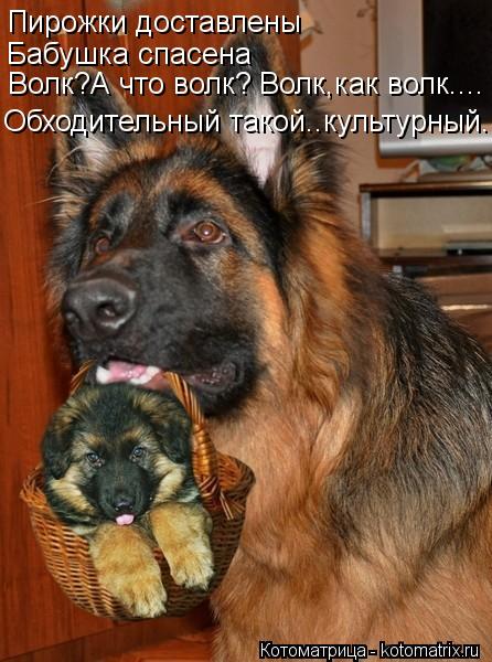 Пирожки доставлены Бабушка спасена Волк?А что волк? Волк,как волк.... Обходительный такой..культурный... Котоматрица: Пирожки доставлены Бабушка спасена Волк?А что волк? Волк,как волк.... Обходительный такой..культурный.