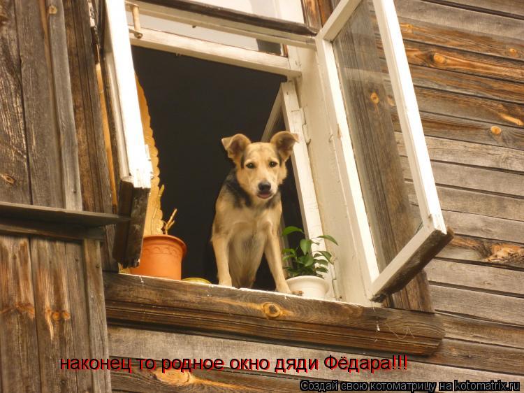 наконец то родное окно дяди Фёдара!!! наконец то родное окно дяди Фёдара!!!... Котоматрица: наконец то родное окно дяди Фёдара!!! наконец то родное окно дяди Фёдара!!!