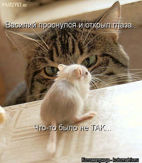 Василий проснулся и открыл глаза... Что-то было не ТАК...... Котоматрица: Василий проснулся и открыл глаза... Что-то было не ТАК...