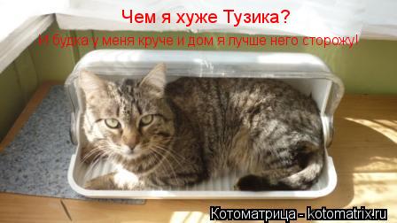 Чем я хуже Тузика? И будка у меня круче и дом я лучше него сторожу!... Котоматрица: Чем я хуже Тузика? И будка у меня круче и дом я лучше него сторожу!