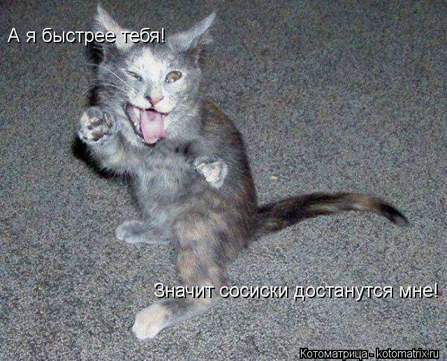 А я быстрее тебя! Значит сосиски достанутся мне!... Котоматрица: А я быстрее тебя! Значит сосиски достанутся мне!