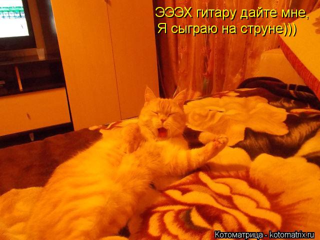 ЭЭЭХ гитару дайте мне, Я сыграю на струне)))... Котоматрица: ЭЭЭХ гитару дайте мне, Я сыграю на струне)))