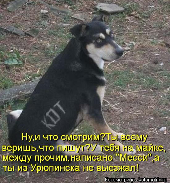 Ну,и что смотрим?Ты всему веришь,что пишут?У тебя на майке, между прочим,написано "Месси",а ты из Урю... Котоматрица: Ну,и что смотрим?Ты всему веришь,что пишут?У тебя на майке, между прочим,написано "Месси",а ты из Урюпинска не выезжал!