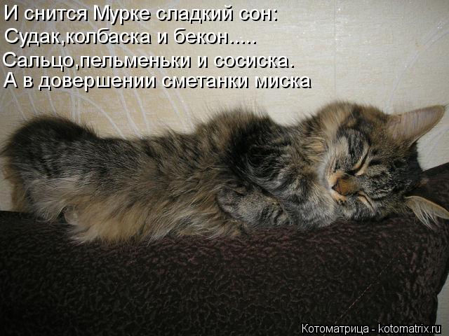 И снится Мурке сладкий сон: Судак,колбаска и бекон..... Сальцо,пельменьки и сосиска. А в довершении с... Котоматрица: И снится Мурке сладкий сон: Судак,колбаска и бекон..... Сальцо,пельменьки и сосиска. А в довершении сметанки миска