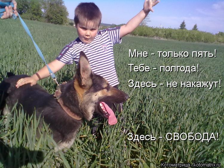 Мне - только пять! Тебе - полгода! Здесь - не накажут! Здесь - СВОБОДА!... Котоматрица: Мне - только пять! Тебе - полгода! Здесь - не накажут! Здесь - СВОБОДА!