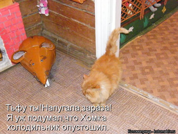 Тьфу ты!Напугала,зараза! Я уж подумал,что Хомка холодильник опустошил.... Котоматрица: Тьфу ты!Напугала,зараза! Я уж подумал,что Хомка холодильник опустошил.
