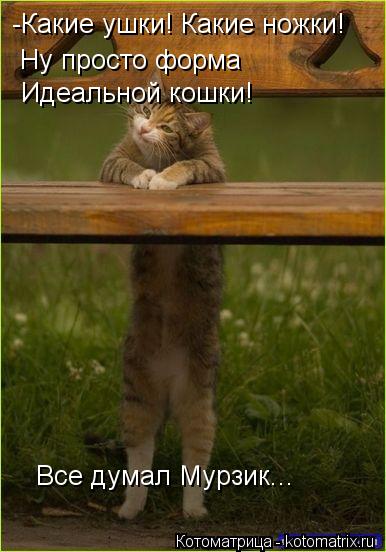 -Какие ушки! Какие ножки! Ну просто форма Идеальной кошки! Все думал Мурзик...... Котоматрица: -Какие ушки! Какие ножки! Ну просто форма Идеальной кошки! Все думал Мурзик...