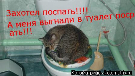 Захотел поспать!!!! А меня выгнали в туалет посрать!!! А меня выгнали в туалет посрать!!! ать!!!... Котоматрица: Захотел поспать!!!! А меня выгнали в туалет посрать!!! А меня выгнали в туалет посрать!!! ать!!!