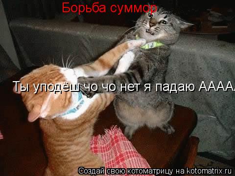 Борьба суммор Ты уподёш чо чо нет я падаю АААААААААААА!!!... Котоматрица: Борьба суммор Ты уподёш чо чо нет я падаю АААААААААААА!!!