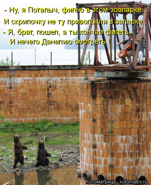 И скрипочку не ту приволокли в запарке.. И нечего Данелию смотреть ! - Ну, я Потапыч, фигею в этом зо... Котоматрица: И скрипочку не ту приволокли в запарке.. И нечего Данелию смотреть ! - Ну, я Потапыч, фигею в этом зоопарке... - Я, брат, пошел, а ты кончай фигеть,