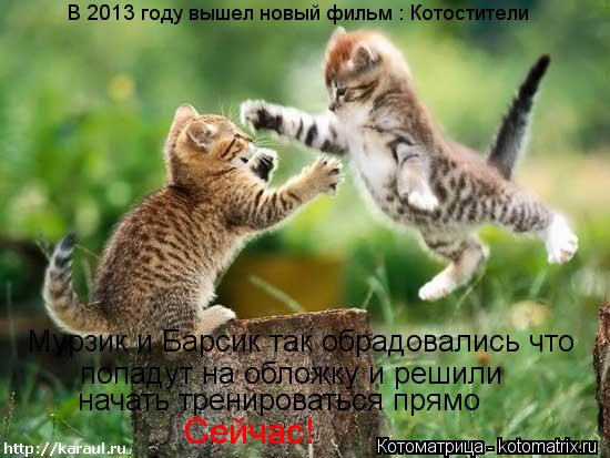 В 2013 году вышел новый фильм : Котостители Мурзик и Барсик так обрадовались что попадут на обложку и... Котоматрица: В 2013 году вышел новый фильм : Котостители Мурзик и Барсик так обрадовались что попадут на обложку и решили начать тренироваться прямо Сейч