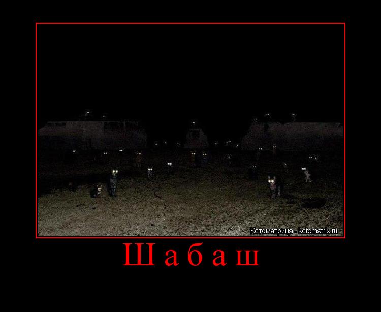 Шабаш ... Котоматрица: Шабаш