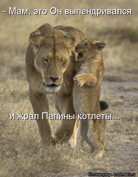 - Мам, это Он выпендривался и жрал Папины котлеты...... Котоматрица: - Мам, это Он выпендривался и жрал Папины котлеты...