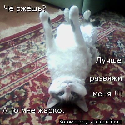 Чё ржёшь? развяжи Лучше меня !!! А то мне жарко.... Котоматрица: Чё ржёшь? развяжи Лучше меня !!! А то мне жарко.