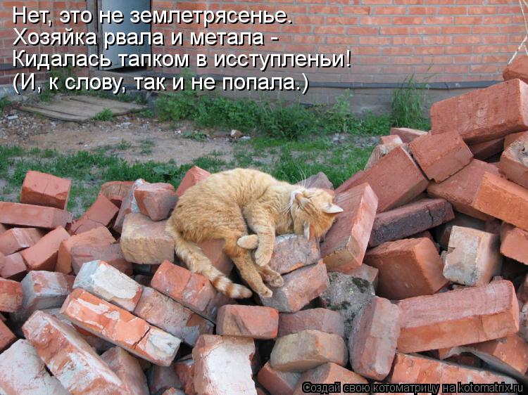 Нет, это не землетрясенье. Хозяйка рвала и метала - Кидалась тапком в исступленьи! (И, к слову, так и... Котоматрица: Нет, это не землетрясенье. Хозяйка рвала и метала - Кидалась тапком в исступленьи! (И, к слову, так и не попала.)