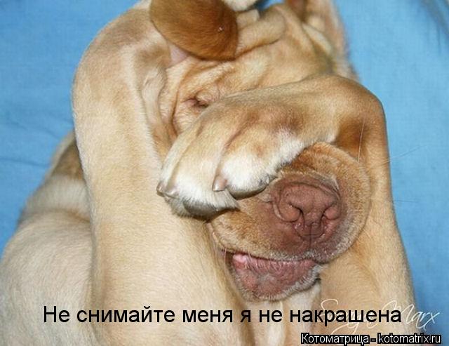 Не снимайте меня я не накрашена... Котоматрица: Не снимайте меня я не накрашена