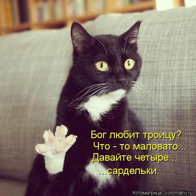 Бог любит троицу? Что - то маловато... Давайте четыре... ...сардельки.... Котоматрица: Бог любит троицу? Что - то маловато... Давайте четыре... ...сардельки.