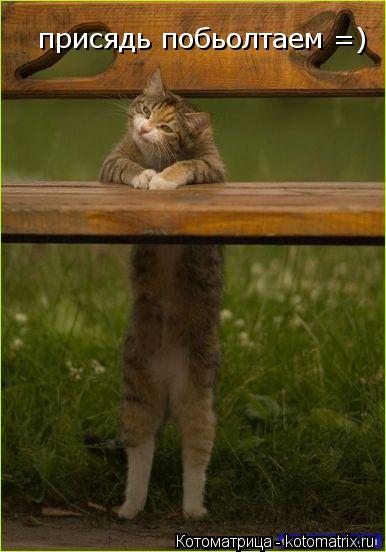 присядь побьолтаем =)... Котоматрица: присядь побьолтаем =)