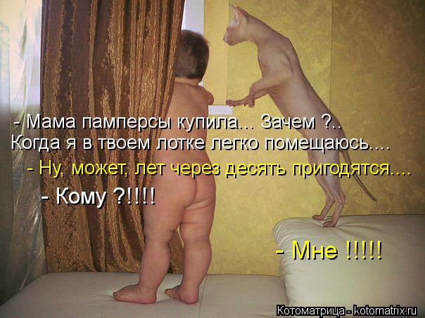 - Мама памперсы купила... Зачем ?.. Когда я в твоем лотке легко помещаюсь.... - Ну, может, лет через ... Котоматрица: - Мама памперсы купила... Зачем ?.. Когда я в твоем лотке легко помещаюсь.... - Ну, может, лет через десять пригодятся.... - Кому ?!!!! - Мне !!!!!