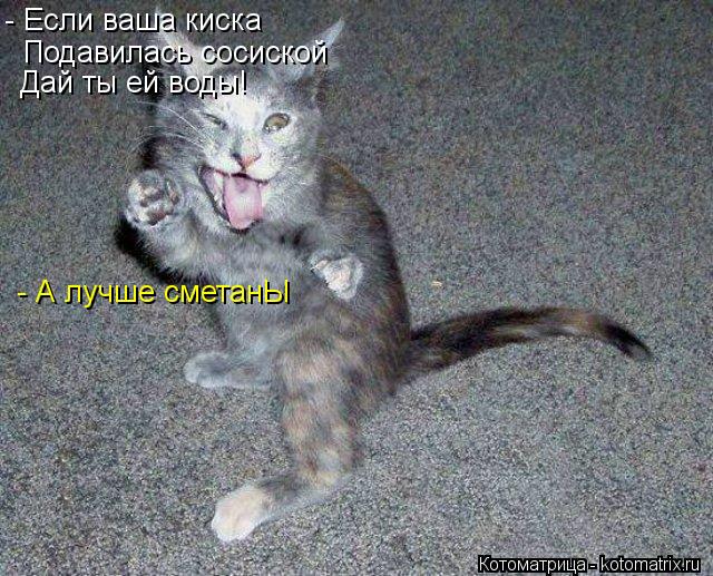 - Если ваша киска Подавилась сосиской Дай ты ей воды! - А лучше сметанЫ... Котоматрица: - Если ваша киска Подавилась сосиской Дай ты ей воды! - А лучше сметанЫ