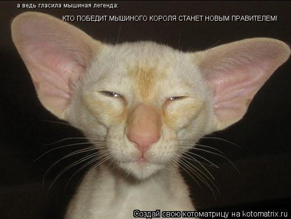 а ведь гласила мышиная легенда: КТО ПОБЕДИТ МЫШИНОГО КОРОЛЯ СТАНЕТ НОВЫМ ПРАВИТЕЛЕМ!... Котоматрица: а ведь гласила мышиная легенда: КТО ПОБЕДИТ МЫШИНОГО КОРОЛЯ СТАНЕТ НОВЫМ ПРАВИТЕЛЕМ!